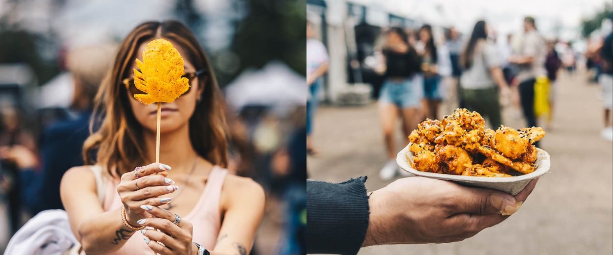 Wordpress-FEATURE-IMAGES-11