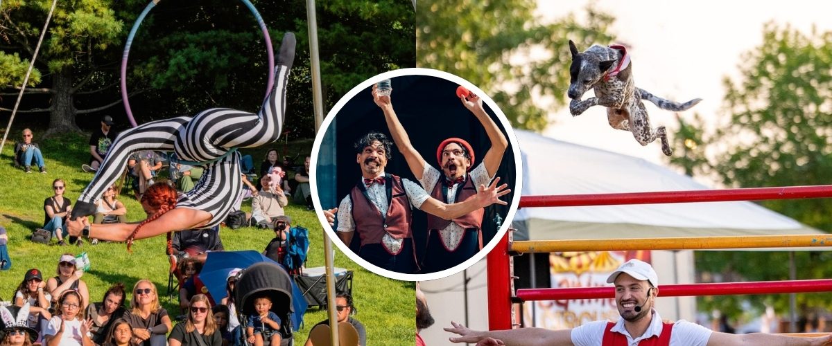buskerfest bark in the park epilepsy to