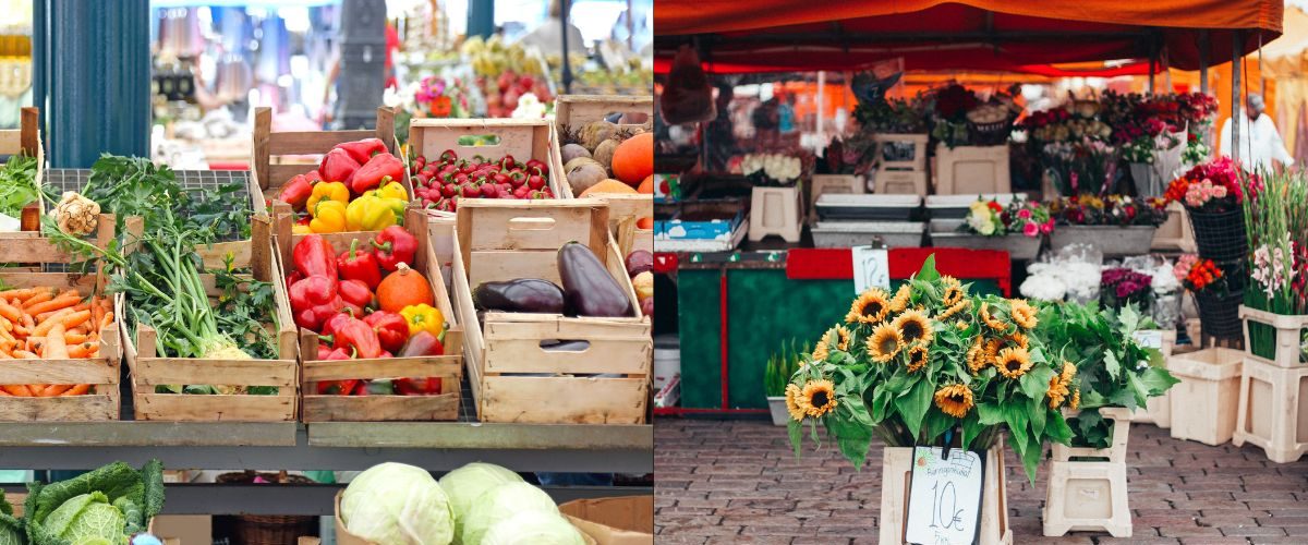 Wordpress-FEATURE-IMAGES-2