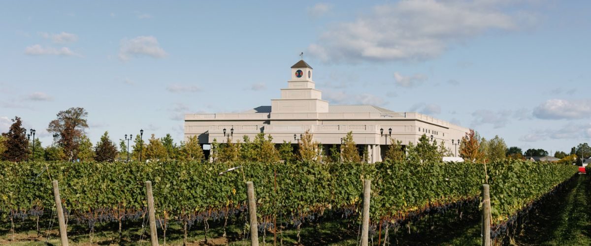 stone eagle winery