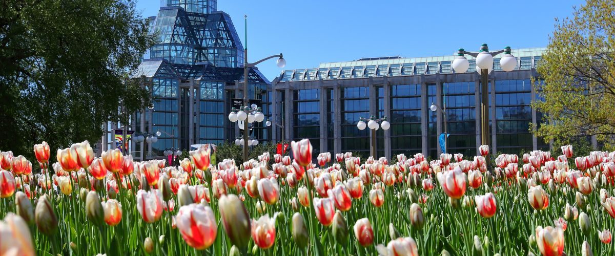 The Best Places to Spot Spring Blooms in Ottawa