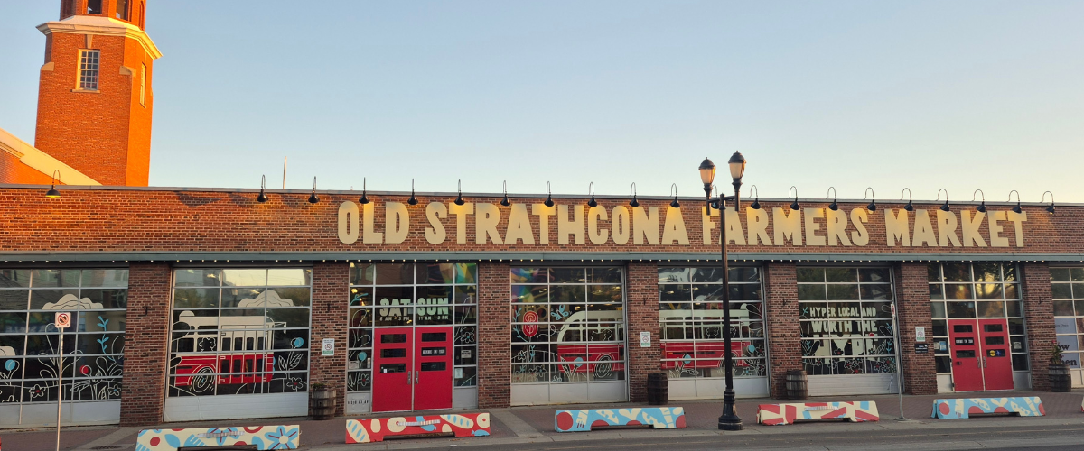 Wordpress FEATURE IMAGES-21