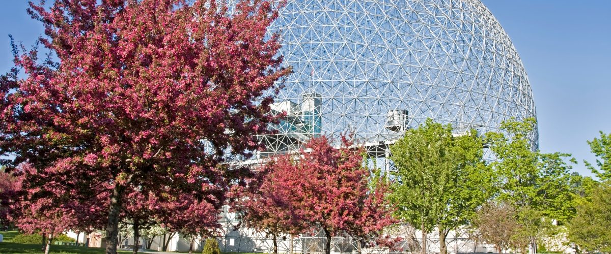 Wordpress FEATURE IMAGES (23)