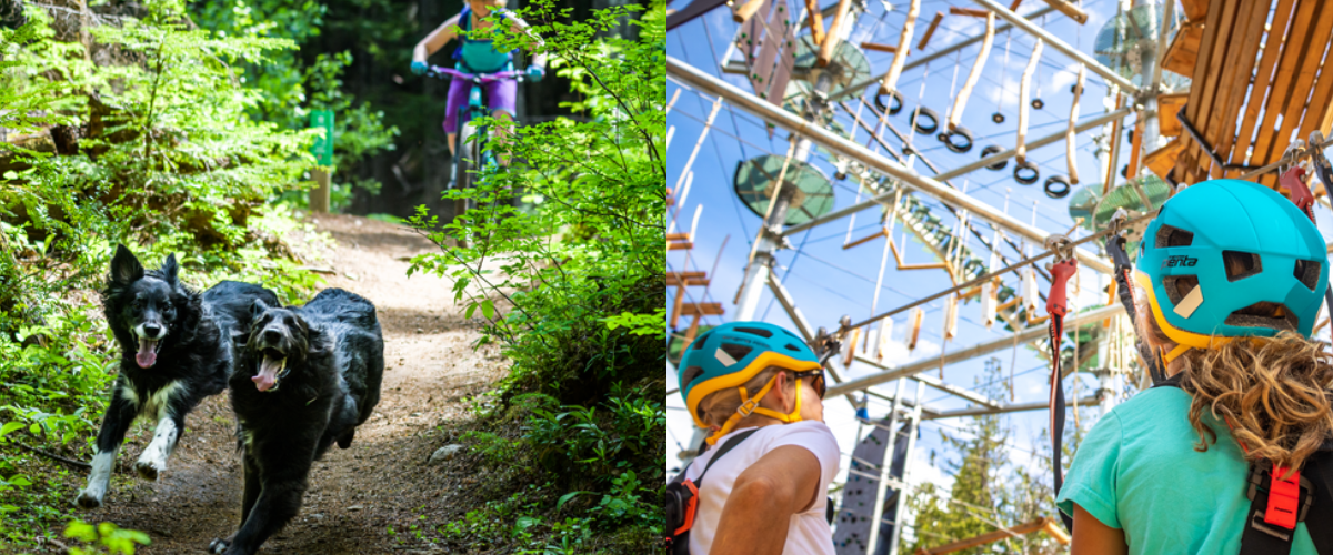 Wordpress FEATURE IMAGES-3