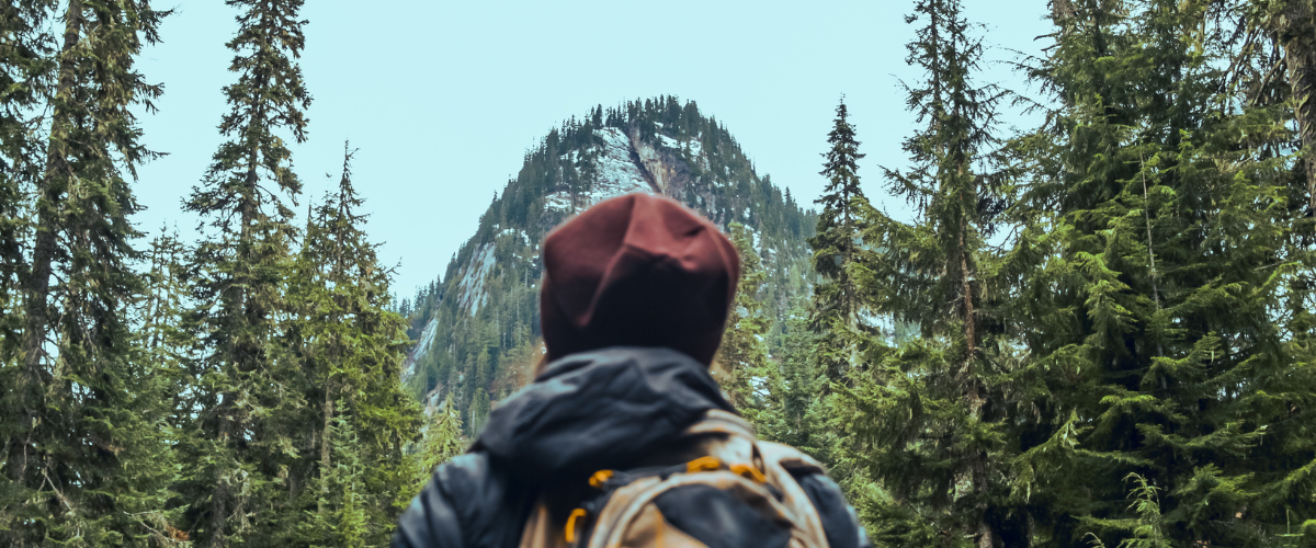 Wordpress FEATURE IMAGES