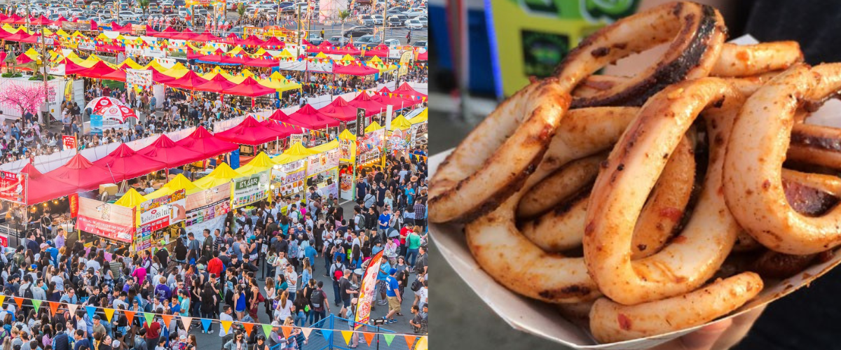 Wordpress FEATURE IMAGES