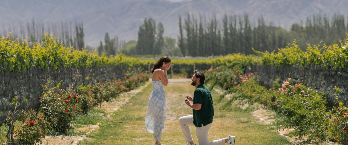 Wordpress FEATURE IMAGES (3)