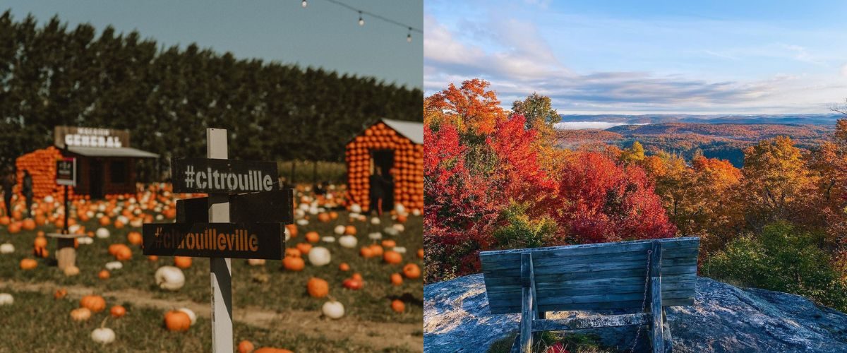 datenight - Ottawa Fall Date Ideas Guide