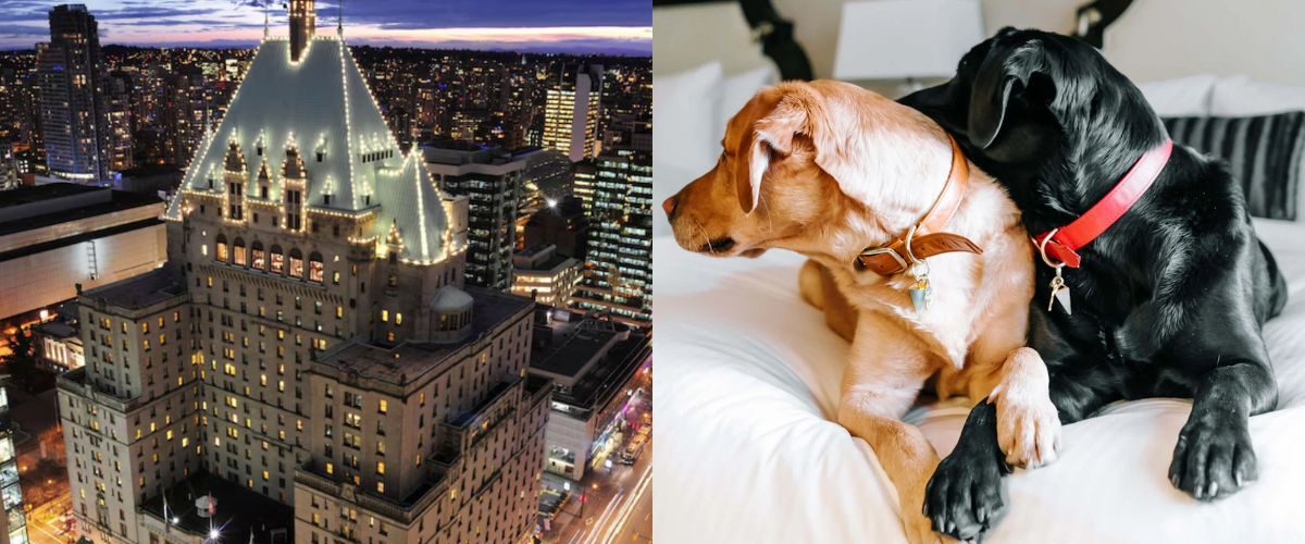 fairmont bone and biscuit