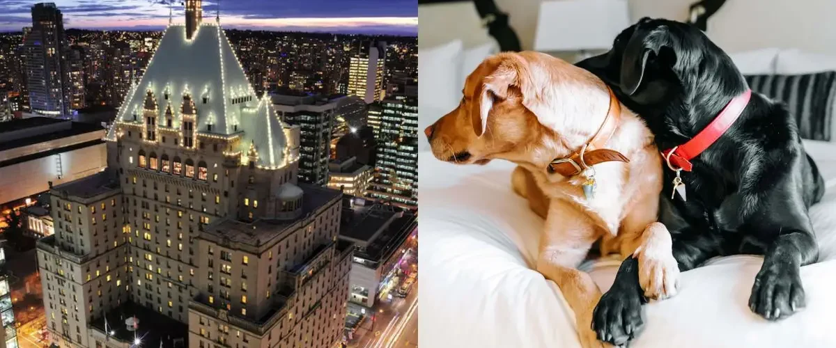 fairmont bone and biscuit