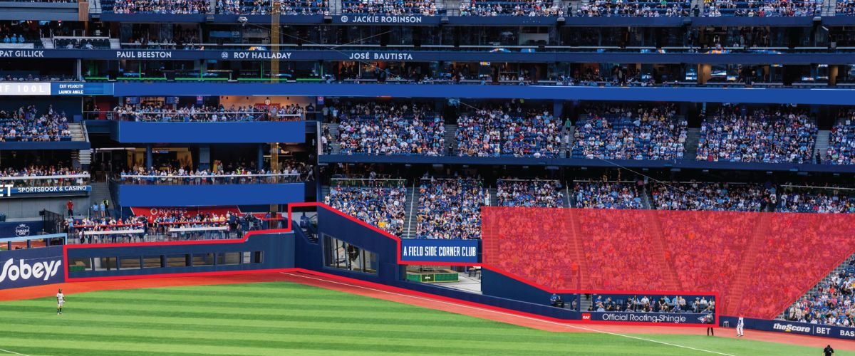 blue jays