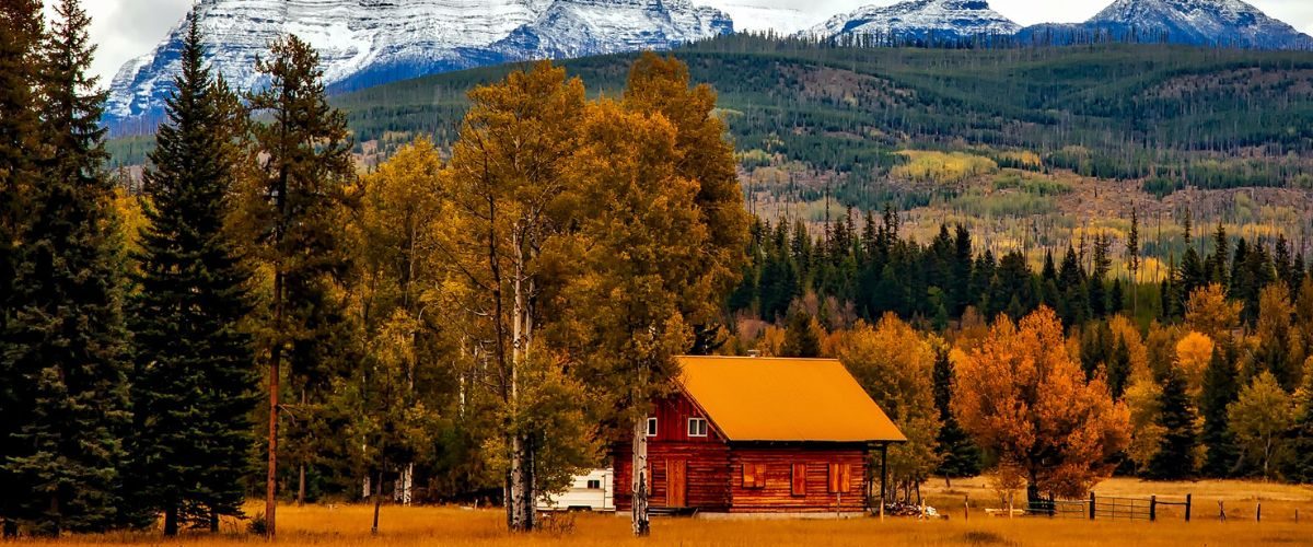 Wordpress FEATURE IMAGES-4