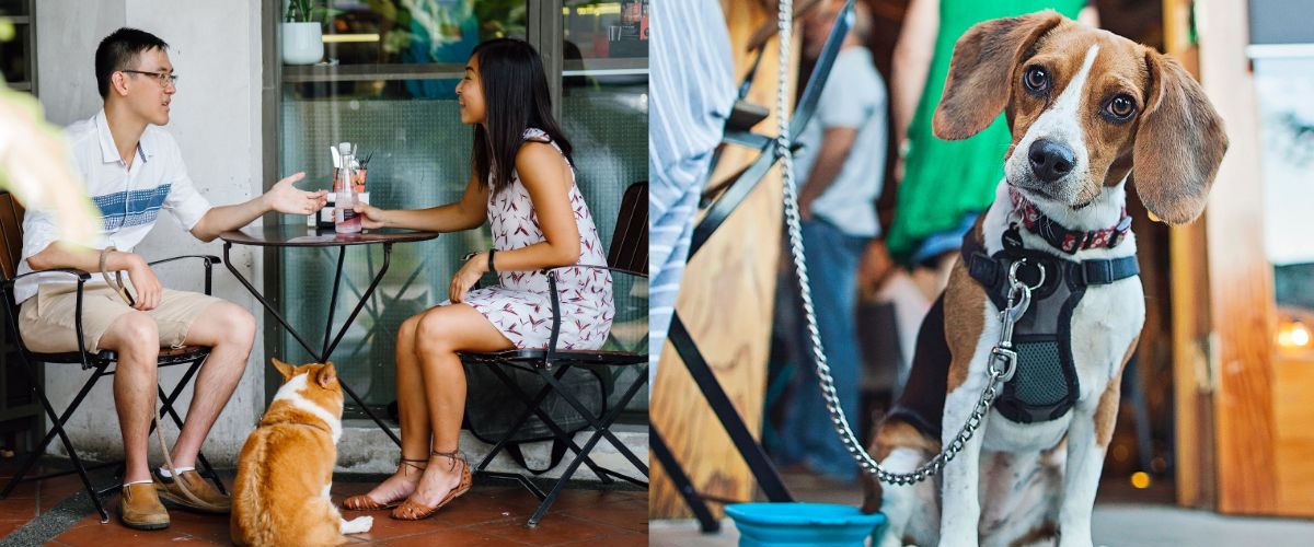 datenight - Dog-Friendly Patios in Ottawa