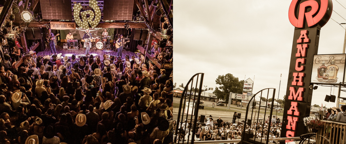 Wordpress FEATURE IMAGES-5