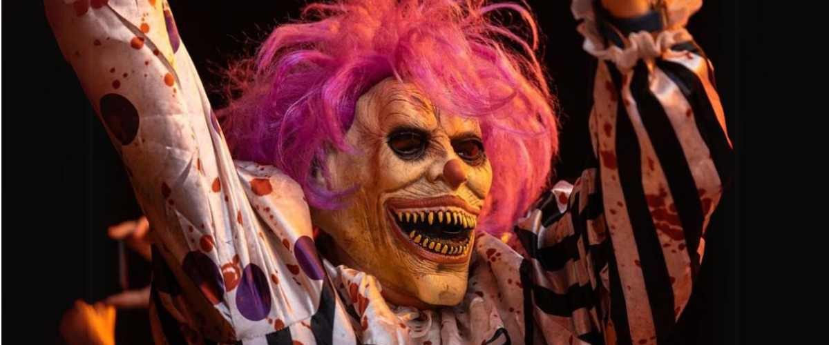 Wordpress FEATURE IMAGES