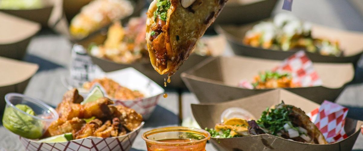 Wordpress FEATURE IMAGES (57)