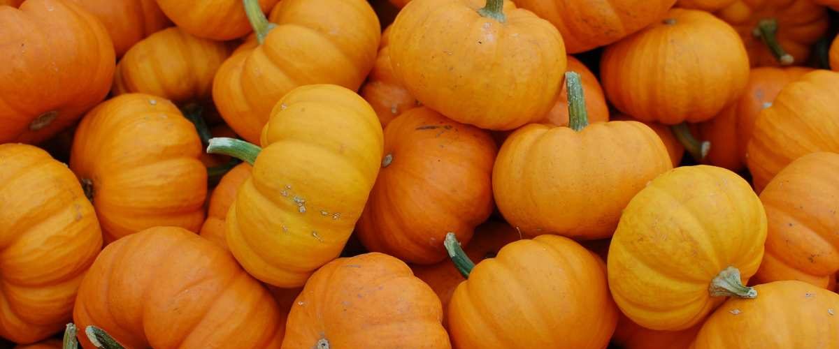 Wordpress FEATURE IMAGES (6)