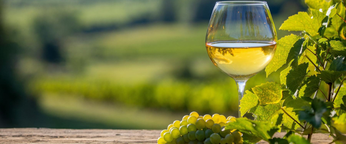 white wine in a stemmed glass with green grapes and green leaves beside it, with a blurried out landscape view for a background