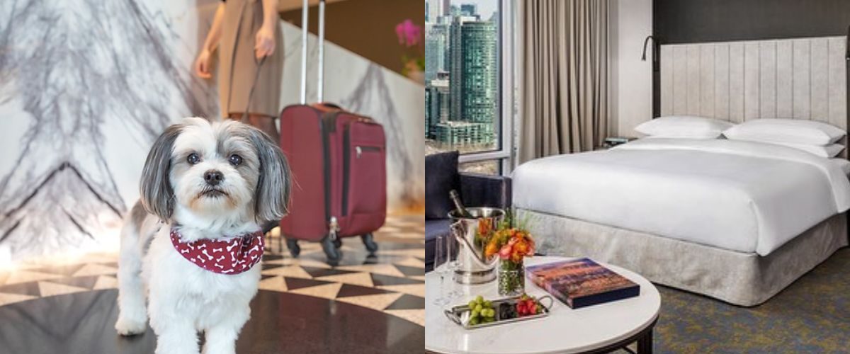 hotelxtoronto