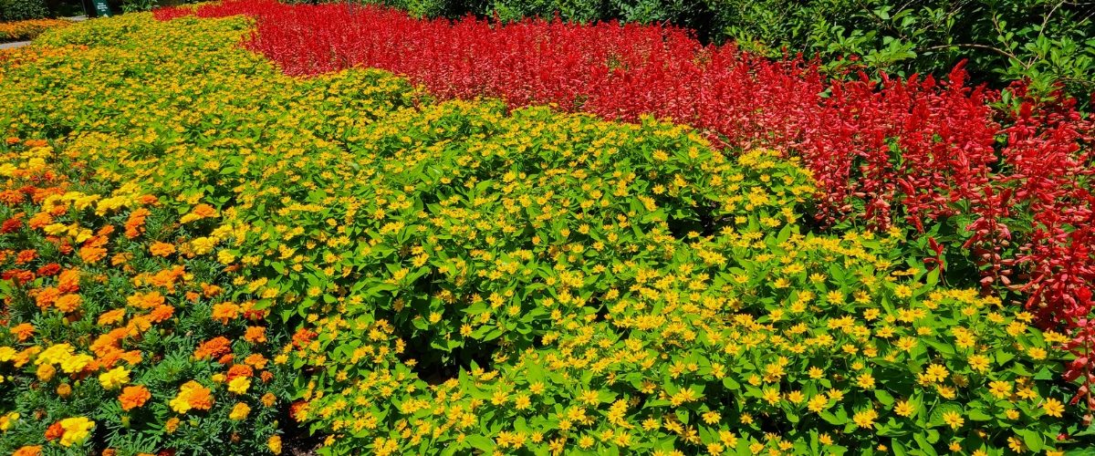 Wordpress FEATURE IMAGES (9)