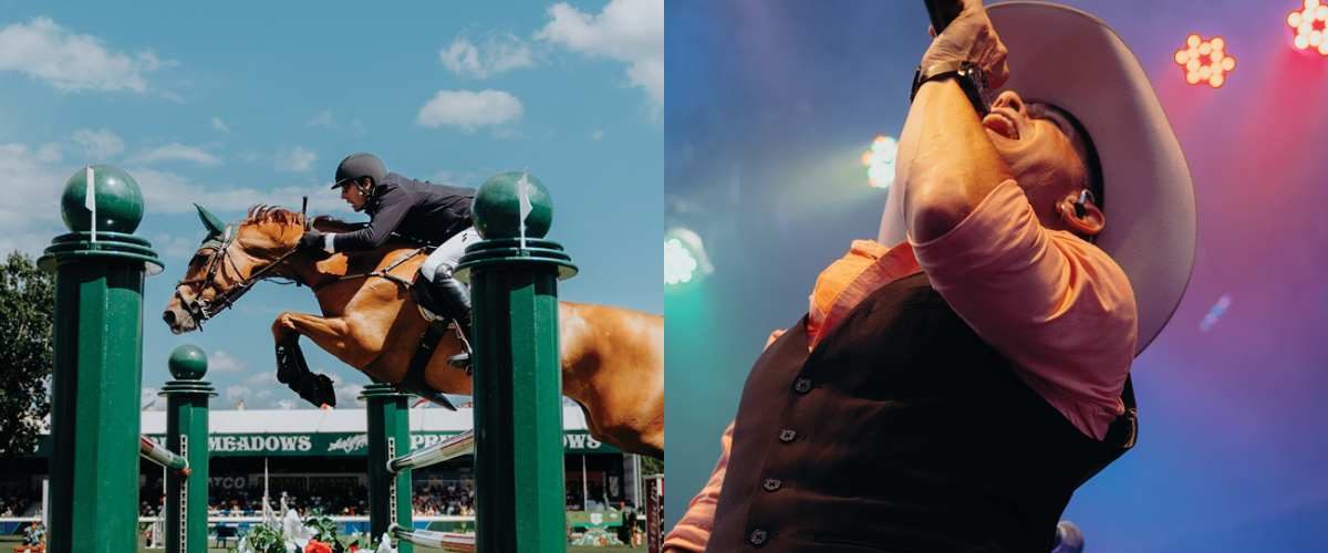 national spruce meadows