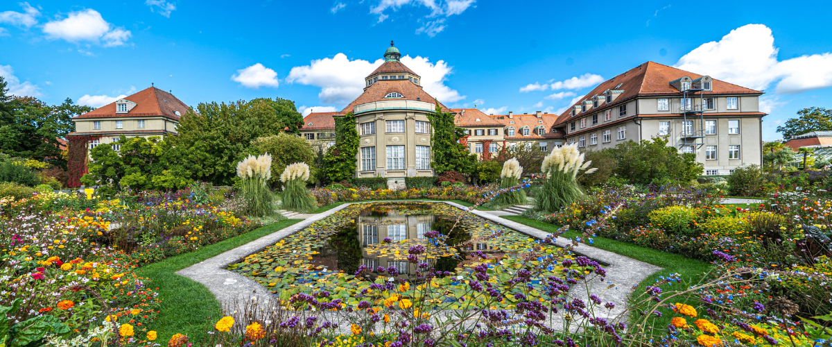 Wordpress FEATURE IMAGES