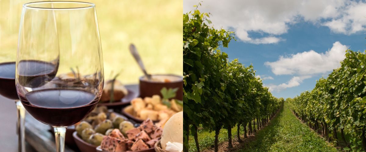 Wordpress FEATURE IMAGES