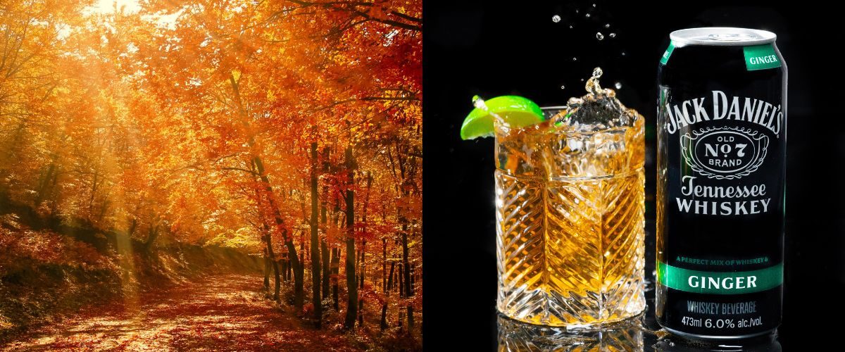 Wordpress-FEATURE-IMAGES