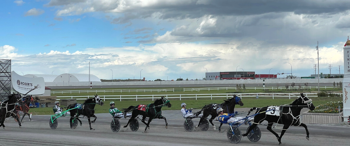century downs yyc_calgary horse racing