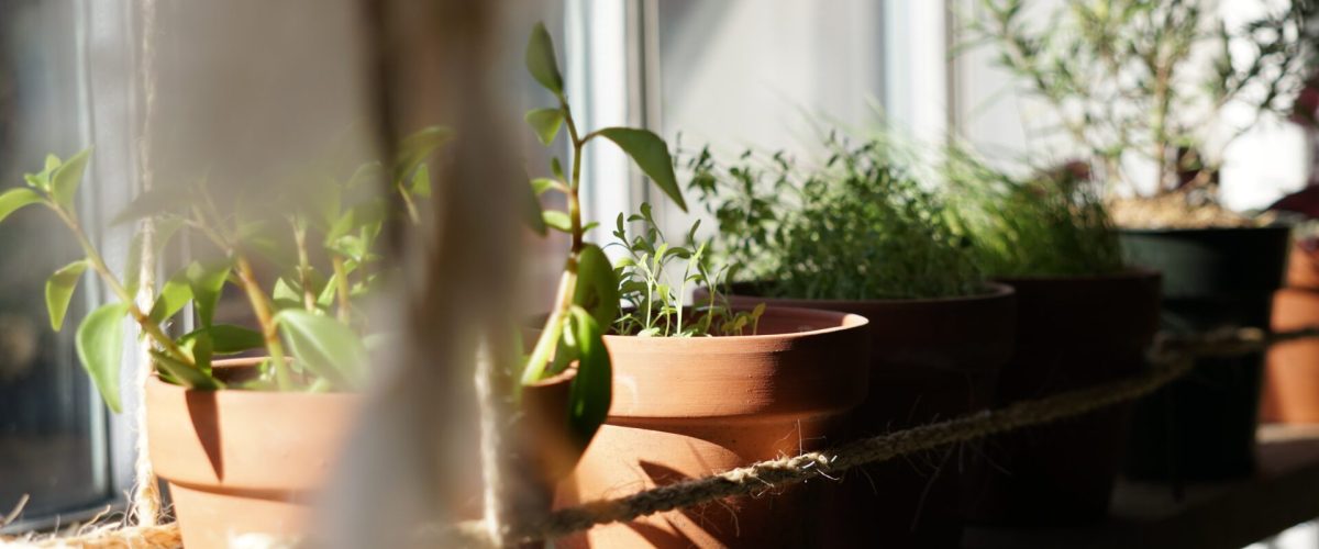 curro-mali-668032-unsplash