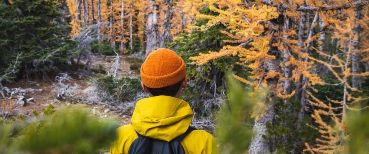 Larch Hike