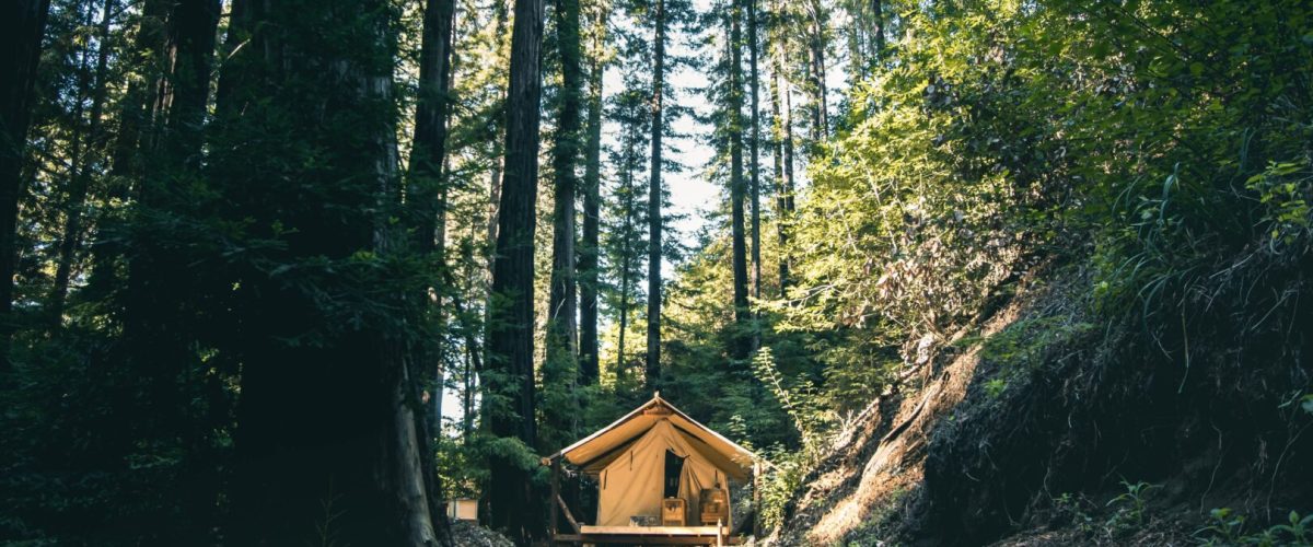 jeremy-bishop-521273-unsplash