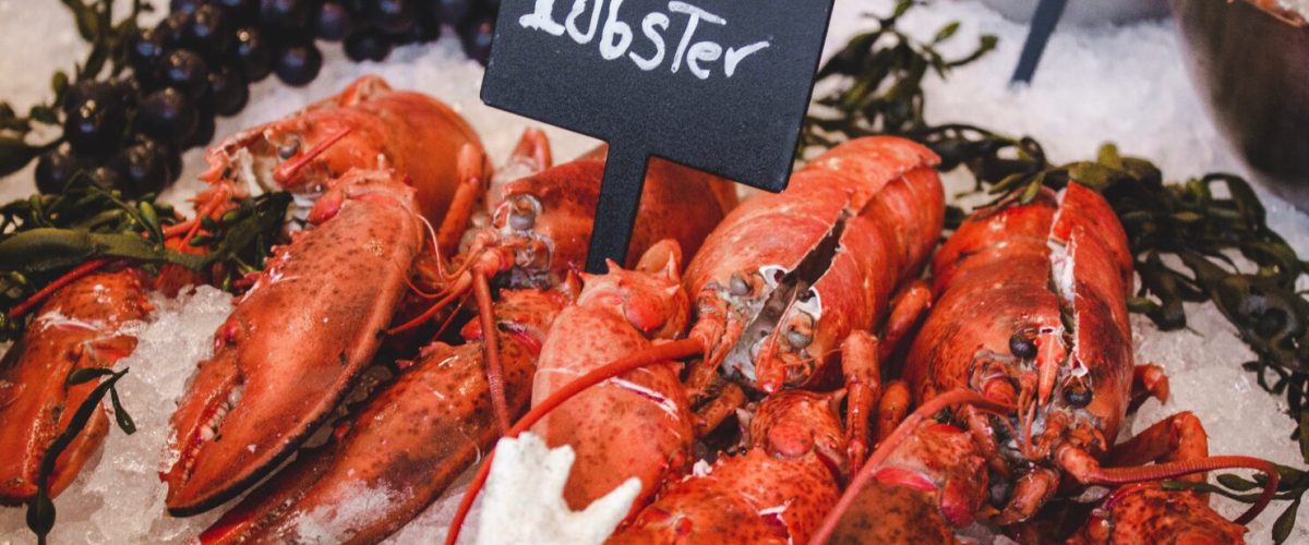 louis-hansel-1404002-unsplash