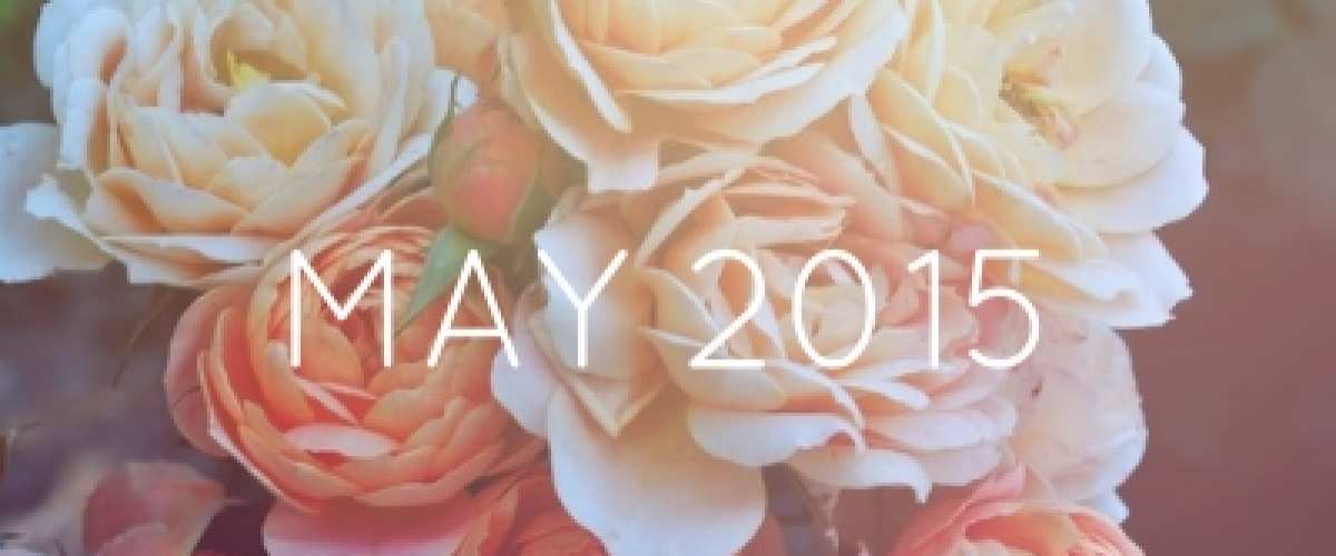 mayflowers2.jpg