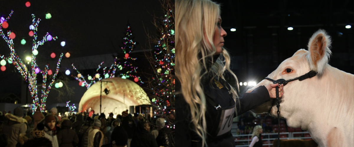 november dates in edmonton