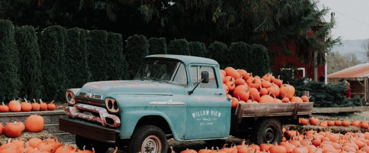 priscilla-du-preez-svIdk6Ai94w-unsplash