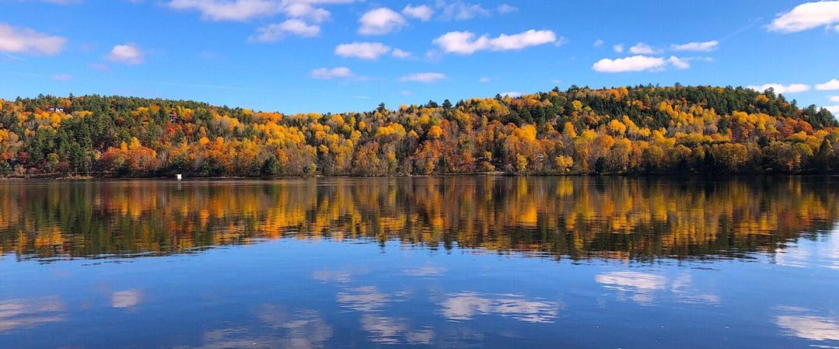 This image highlights the scenic walk along the river in the small town of Wakefield during the fall season.