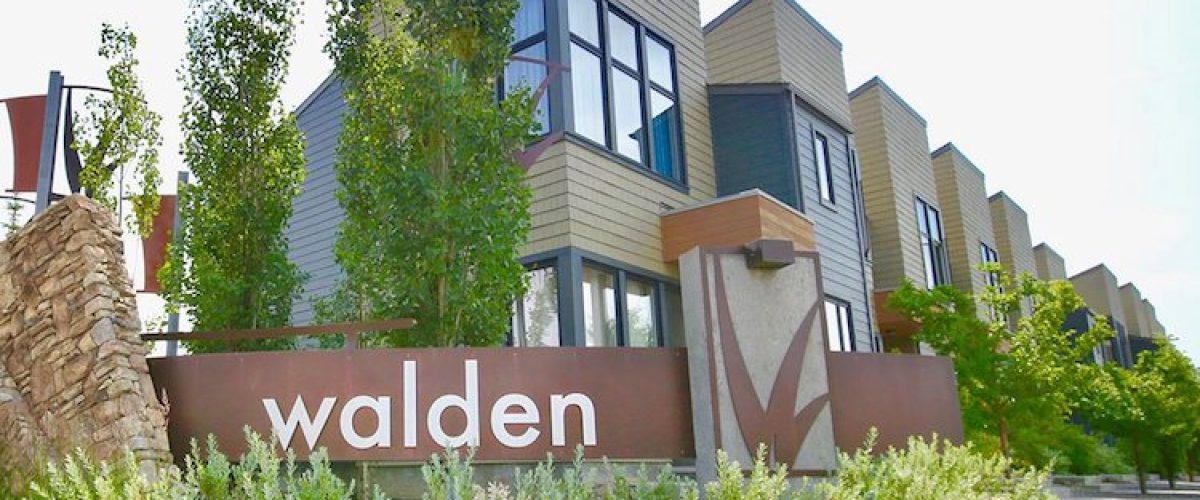 walden-3things-header